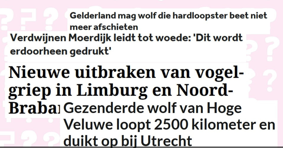 Load video: De Vraag Vandaag video