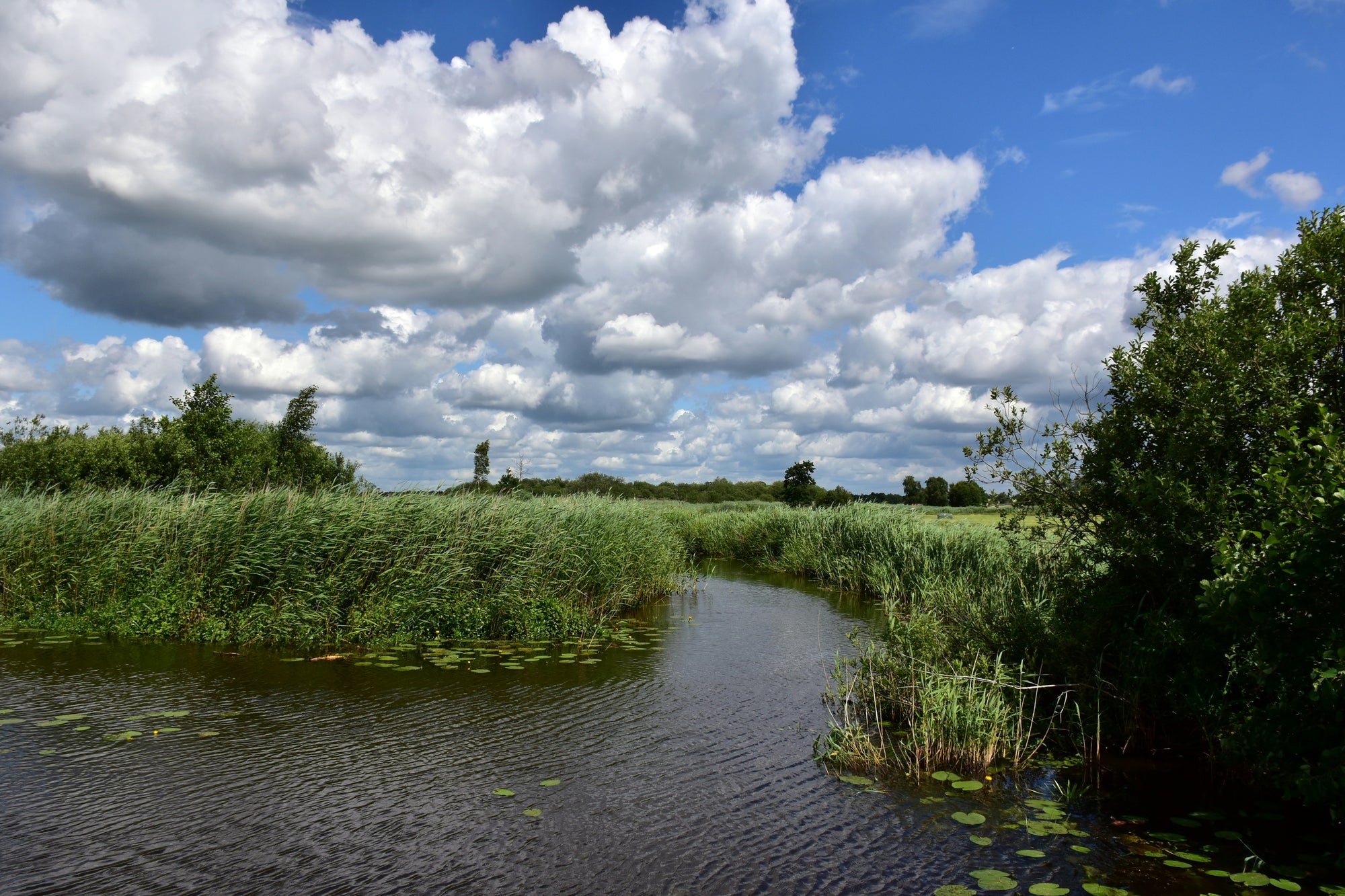 Landschap Friesland weiland en lucht