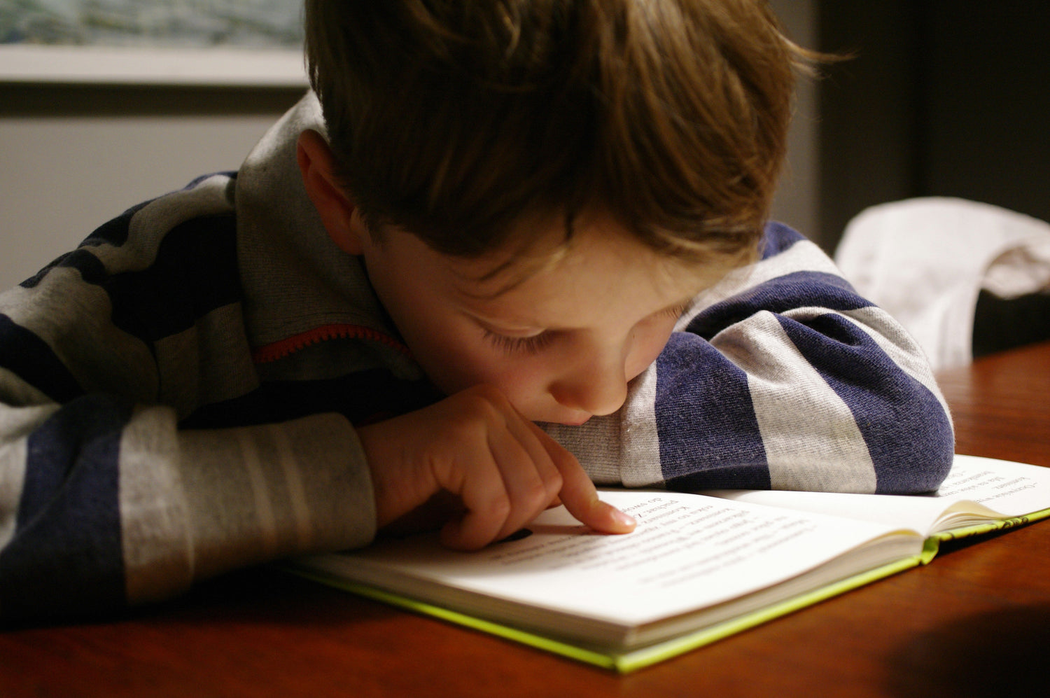 De schoolbibliotheek terug op de agenda: van verplichting naar kans voor beter leesonderwijs
